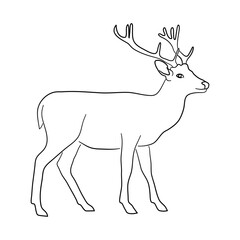 Deer illustration in doodle style. Vector isolated on a white background.