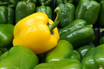 Fresh capsium or bell pepper