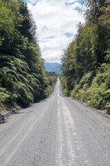 Fototapeta na wymiar part of the carretera austral in chile
