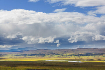 Obraz premium Polar tundra