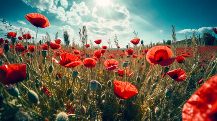 Field of poppies in the countryside, generative AI