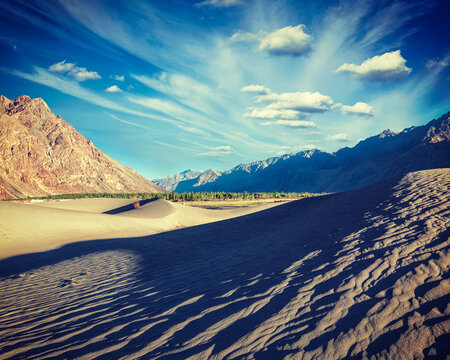 Vintage retro effect filtered hipster style image of sand dunes in Nubra valley in Himalayas. Hunder, Nubra valley, Ladakh