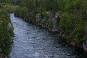 a landscape river in the north with tall green beautiful grass. Russia, Kola Peninsula natural wildlife
