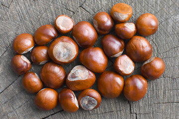 Chestnut fruits on a wooden background.