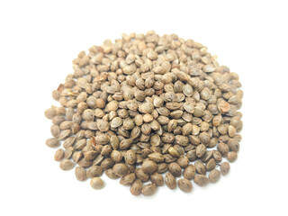 Cannabis seeds that are ready to be planted and bred. placed on a white background.