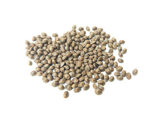 Cannabis seeds that are ready to be planted and bred. placed on a white background.