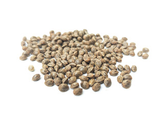 Cannabis seeds that are ready to be planted and bred. placed on a white background.