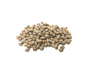 Cannabis seeds that are ready to be planted and bred. placed on a white background.