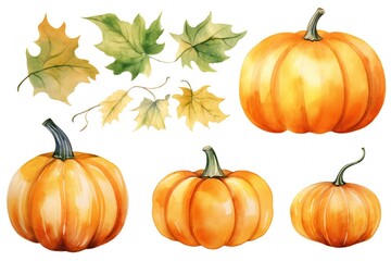 Watercolor Pumpkin Clip art on white background Generative AI