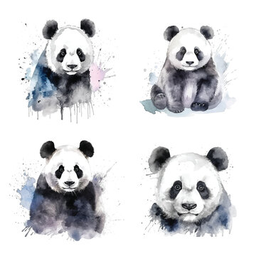 Panda watercolor hand paint collection