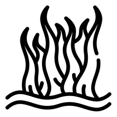 seaweed