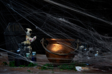 Witches cauldron on the table with spiderweb.