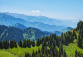 Fototapeta na wymiar Beautiful summer mountain landscape with a blue smoke and forest. Kazakhstan Almaty, Aktas Plateau