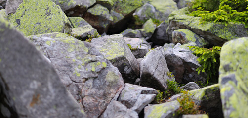 Pile of stones with moss selective focus.