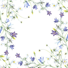 Blue and white campanula frame, wild flowers, floral elements. Stock illustration on a white background. Hand painted in watercolor.