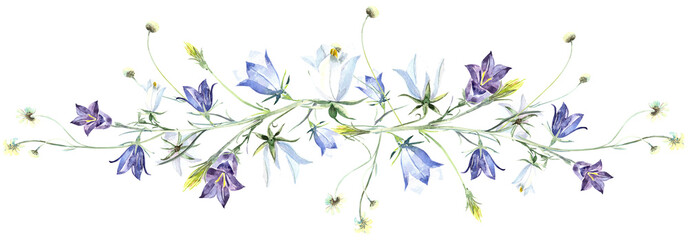 Blue campanula boarder, wild flowers, bluebells, floral elements. Stock illustration on a white background. Hand painted in watercolor.
