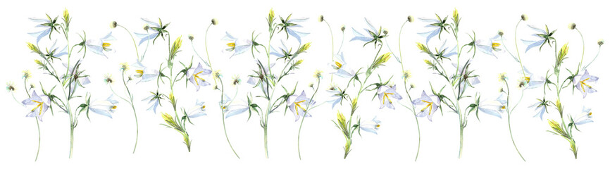 White campanula boarder, wild flowers, bluebells, floral elements. Stock illustration on a white background. Hand painted in watercolor.