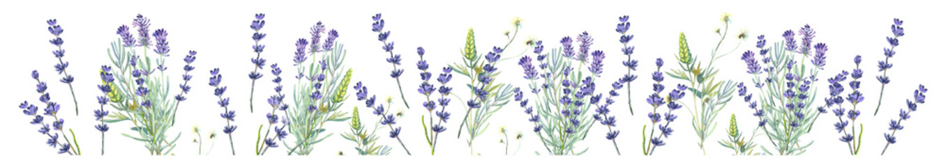 Lavender boarder, wild flowers, floral elements, lilac flowers,  Butterfly. Stock illustration on a white background. Hand painted in watercolor.