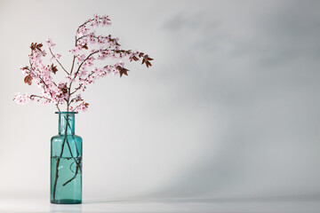 cherry blossom ikebana in a blue vase on a left side