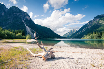 Sunrise view on Bernese range above Bachalpsee lake. Highest peaks Eiger, Jungfrau and Faulhorn in...