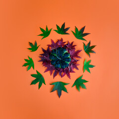 Creative Halloween design made of green pumpkin on red and green autumn leaves against orange background. Minimal concept. Copy space. Halloween art. Autumn wallpaper.