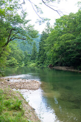 新緑の清流