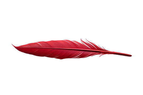 Full Frame Shot Of Red Feathers stock photo