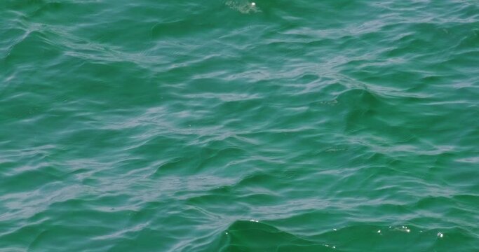 Green Ocean Water Texture