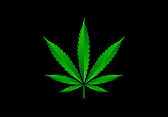 cannabis marijuana weed leaf vector illustraion