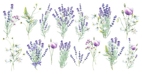 Lavender clip art set, wild flowers, floral elements, lilac flowers, campanula. Butterfly. Stock illustration on a white background. Hand painted in watercolor.