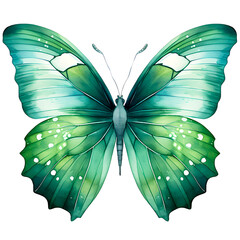 Green watercolor butterfly sublimation clipart with transparent background, created with generative AI technology
