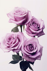 Three purple roses in a vase on a table. Generative AI.