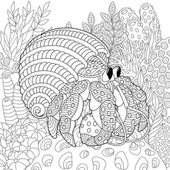 Hermit crab coloring page. Outline sea design in mandala and zentangle style