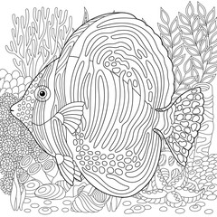 Sailfin tang fish coloring page. Outline sea design in mandala and zentangle style