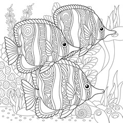 Butterflyfish fishes coloring page. Outline sea design in mandala and zentangle style