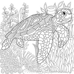 Turtle coloring page. Outline sea design in mandala and zentangle style