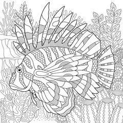 Lionfish coloring page. Outline sea design in mandala and zentangle style
