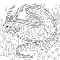 Oarfish coloring page. Outline sea design in mandala and zentangle style