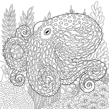 Octopus coloring page. Outline sea design in mandala and zentangle style