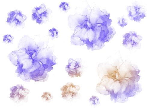 set of watercolor flowers clipart transparent background clip art 