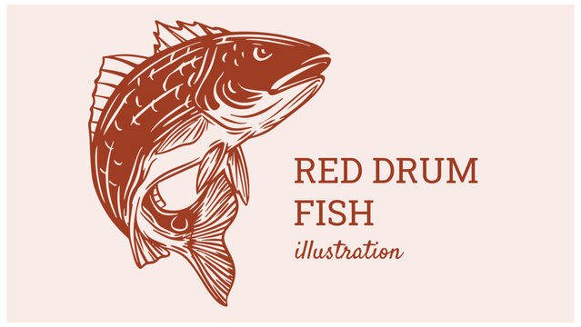 Red Fish Logo Images – Browse 22,485 Stock Photos, Vectors, and Video |  Adobe Stock