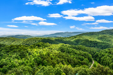 Obraz premium Great Smoky Mountains