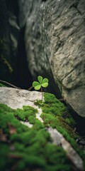 Cinematic Clover for Good Luck