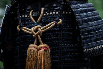 鎧武者（Armoured Samurai）