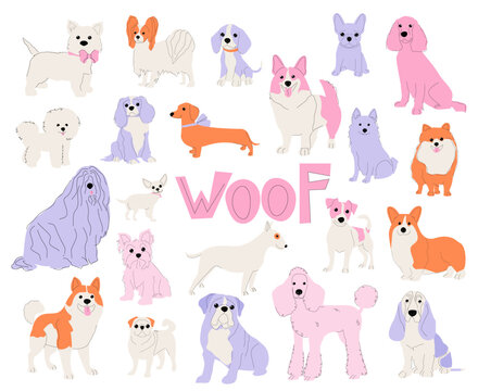 Dogs of different breeds isolated on white background set. Vector abstract multicolored pets illustration.