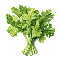 Watercolor celery. Vegetable clipart illustration. Generative AI