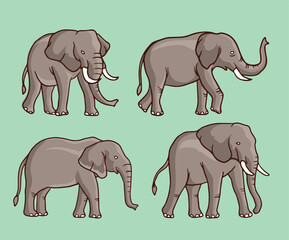 brown Elephant  vector illustration consisting of three images