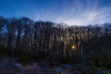 Blue Ridge Parkway in North Carolina, USA