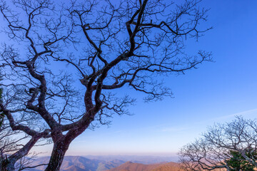 Blue Ridge Parkway in North Carolina, USA