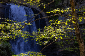 Looking Glass Falls, North Carolina, United States
